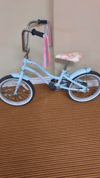 Supercycle bike 16 inch hot sale