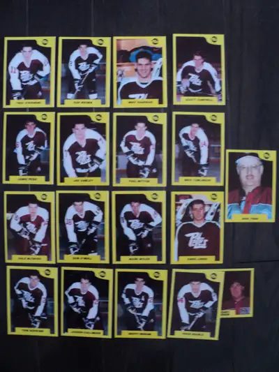Hockey Cards - 1989/90 OHL Peterborough Petes 18 card lot, View more