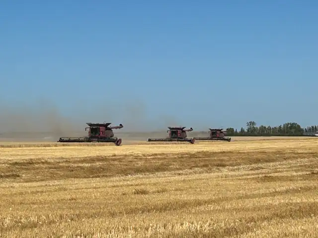 Harvest Help - Regina