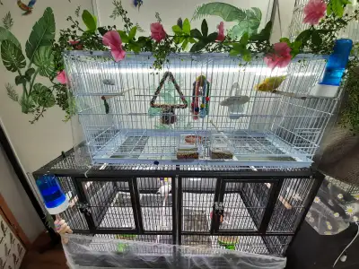 3- Bird Cages, View more