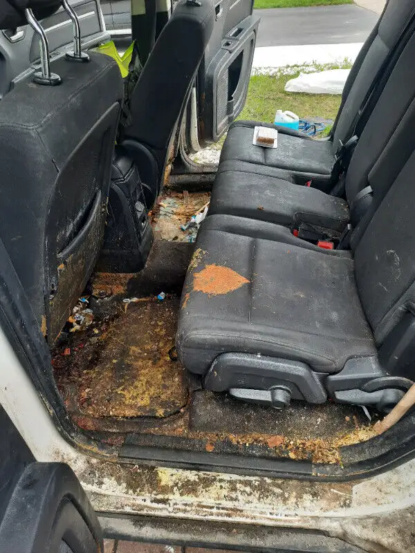 Mobile Interior Car Detailing: ☏437-215-9867 in Detailing & Cleaning in Mississauga / Peel Region - Image 7