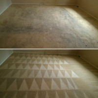 We offer Best and Professional Carpet & Upholstery Cleaning