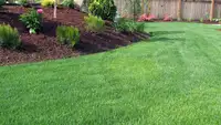 Lawn care and Garden Services