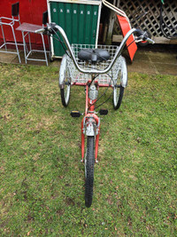 Fiori Parklane 3 wheel trike tricycle