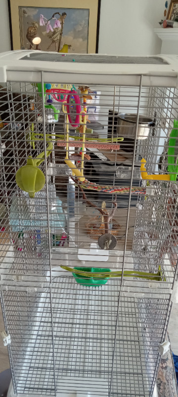 Vision double stack bird cage M02 bells & whistles included in Birds for Rehoming in Abbotsford