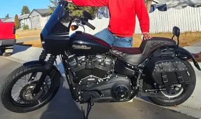 107 Saddlemen Seat Harley backrest New Tires Front and Rear Saddlebags New battery 2 summers ago 2 s...