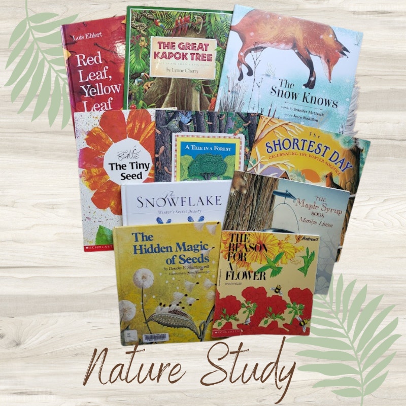 Quality Used Children's Books and Homeschool Books Children & Young Adult Hamilton Kijiji