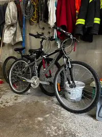 2 bicycles for $50