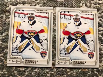 Roberto Luongo 2018-19 O Pee Chee card , View more
