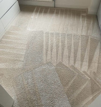 CARPET CLEANING SERVICES IN WINNIPEG