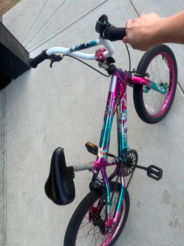 Bicycle449234625155584002