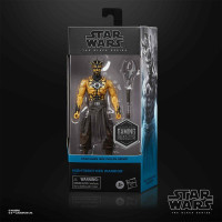 Star Wars the Black Series Night Brother Warrior Action Figures