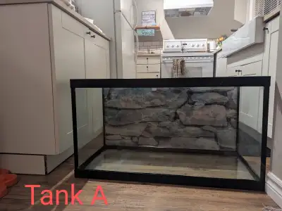 Aquariums / Terrariums, View more