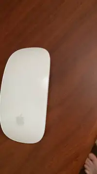 Apple Mouse 