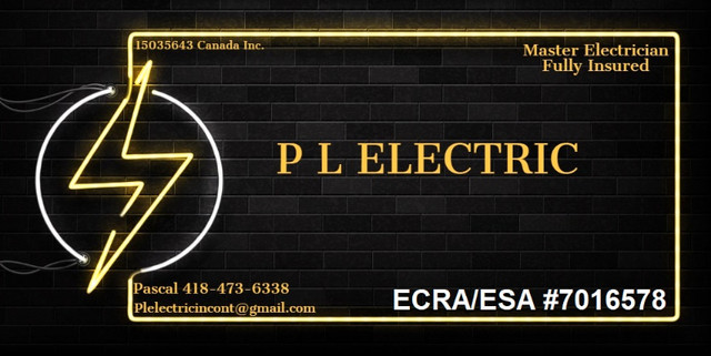 P L ELECTRIC in Electrician in Trenton