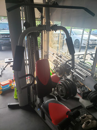 Weider Pro 6900 Home-Gym