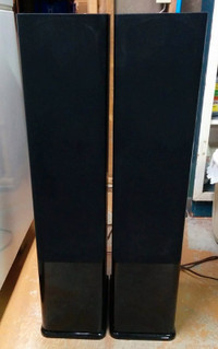 Energy Speaker Systems C-300 Floor-standing Speaker Pair