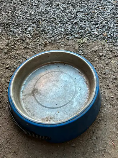 Heated water dish