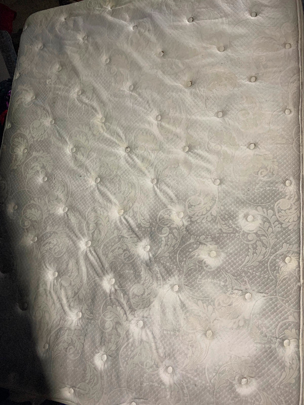 Vintage Sealy Queen Mattress / Delivery Option! in Beds & Mattresses in St. Albert