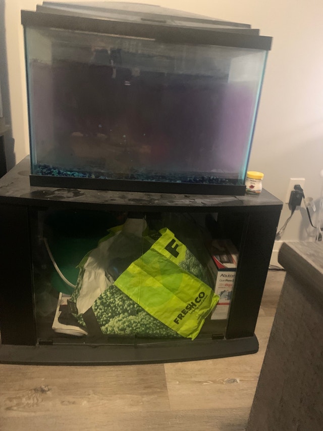 20 gallon fish tank Accessories Cambridge Kijiji