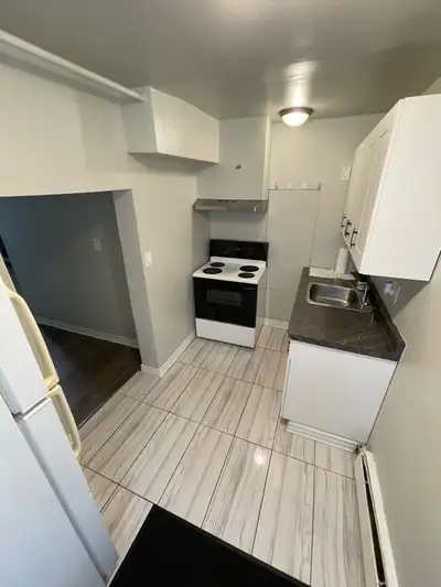 Stunning, Fully Renovated 1-Bedroom Apartment in Centretown!