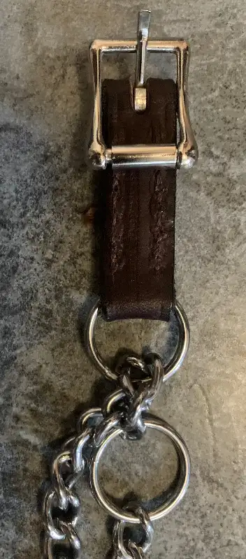 Brown Leather Martingale Training Dog Collar (Read Description) in Accessories in St. Catharines - Image 3