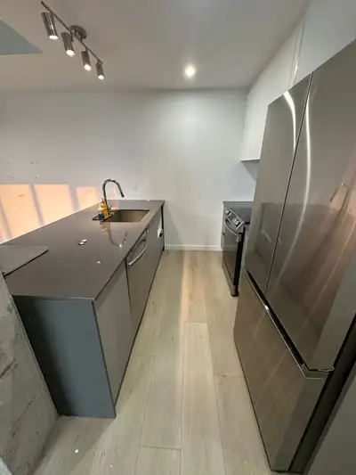 Beautiful 2 Bed 2 Bath Apartment Located in Lasalle