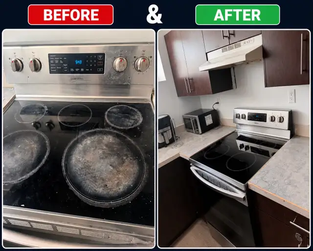 Professional Cleaning Services