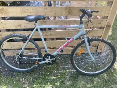 Bonelli Mountain Bike-26” Wheels.$150.00. Message if interested thanks.