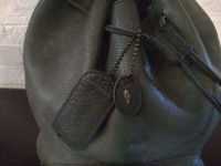 ROOTS -All Leather Green Coloured Backpack