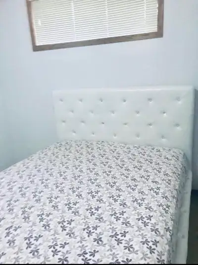 Spacious 1 Bedroom, living room basement suite available from August 1, 2026. 50m from bus stop, 700...