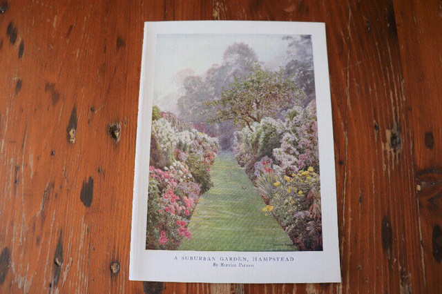 Vintage Botanical Print - A Suburban Garden, Hampstead in Arts & Collectibles in London