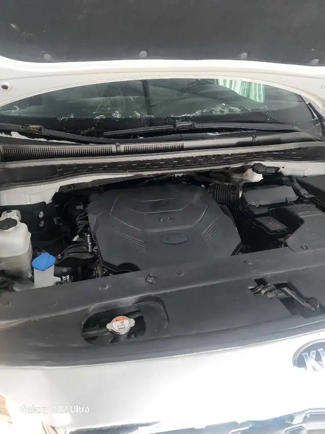 Front side, back and interior64840168480897124