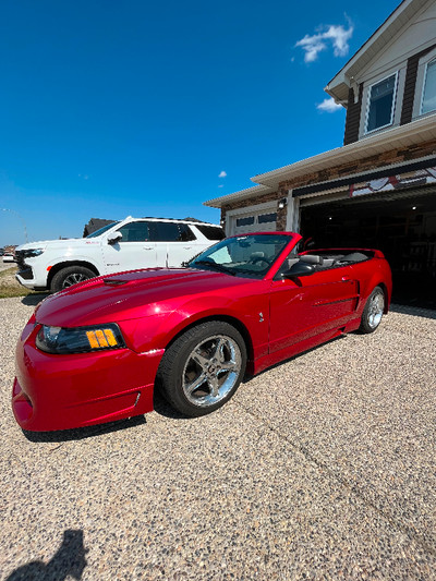 2001 mustang convertible V6 under 60k… lots of extras, babied!