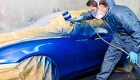 Preparation and paint vehicles