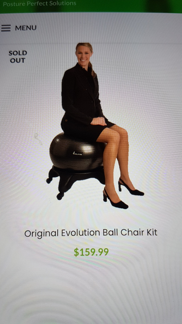 Evolution Ball Chair Kit in Multi-item in Norfolk County