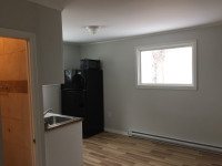 One bedroom furnished suite rent by week or month 