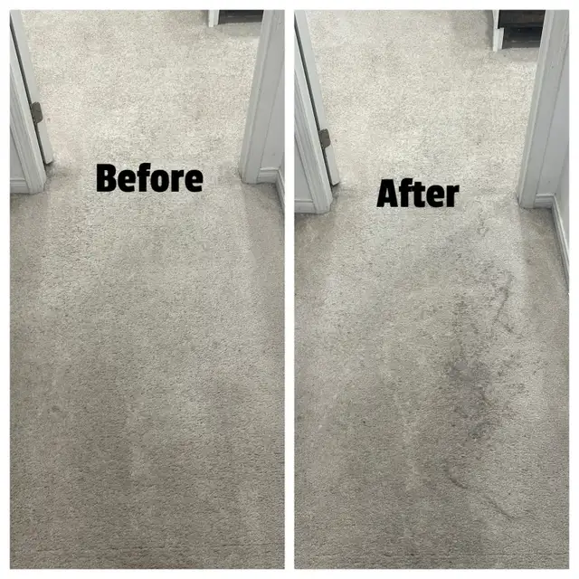 carpet and upholstery steam Clenaing 