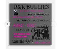CHECK OUT OUR Website - Rkbullies.com - 306 519 8507
