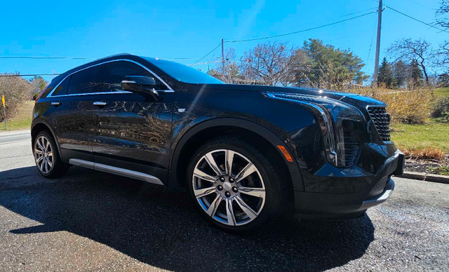 2019 CADILLAC XT4 PREMIUM  in Cars & Trucks in Peterborough - Image 2