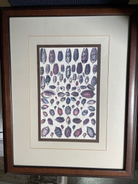 Framed Picture-Sea Shell (Set of 2) $50 OBO