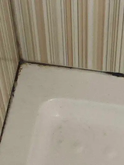 Markham cleaning services , View more