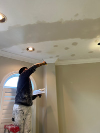 Popcorn ceiling removal , house painting , drywall installation 