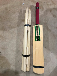 Cricket bat and wicket set