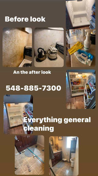 General cleaning services 