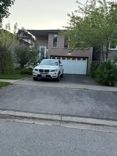 MILTON NOW VACANT 1 BD BASEMENT APARTMENT