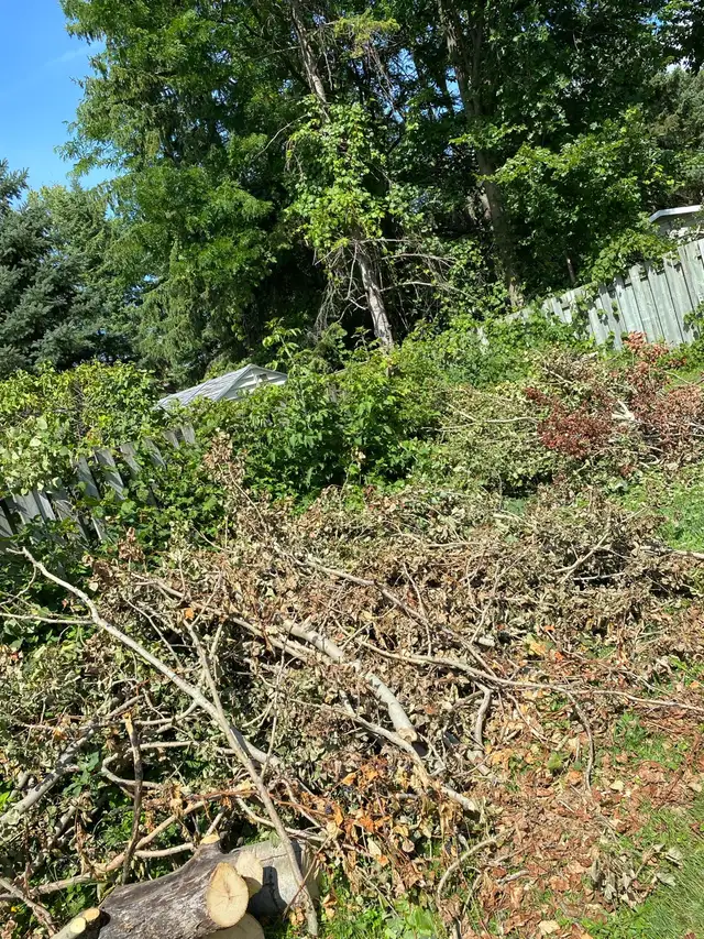 Ramassage des déchets et démolition de terrasse/hangar, in Other in Gatineau - Image 6