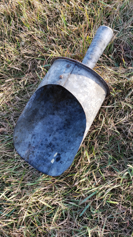 Feed scoop, heated bucket in Equestrian & Livestock Accessories in Red Deer - Image 3
