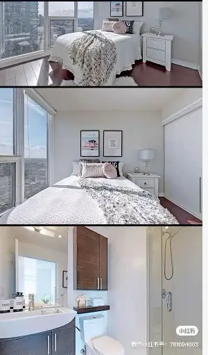 Furnished 1 BR   1 BATH in Shared 2BR/2BA Apt Downtown Toronto