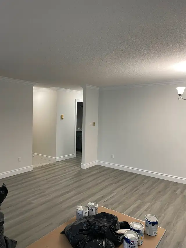Premier painting62864353580546123